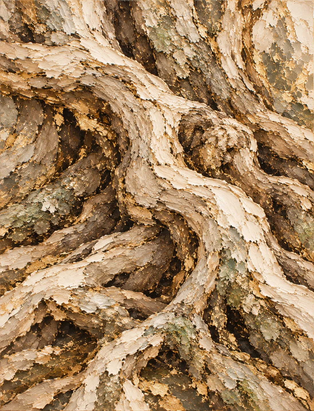 Roots